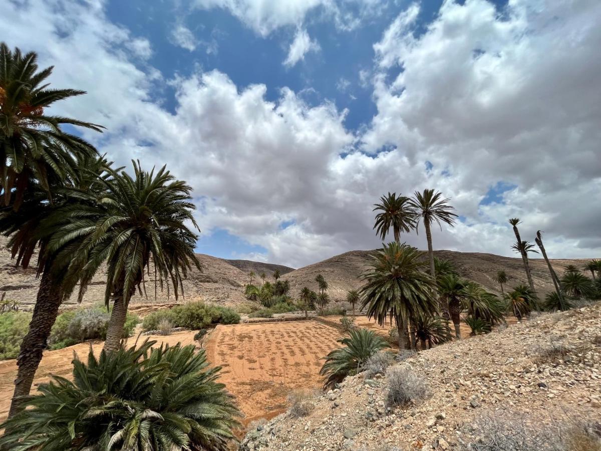 Las Torres Del Castillo, 108Cactus คอสตา เด อันตีกัว ภายนอก รูปภาพ